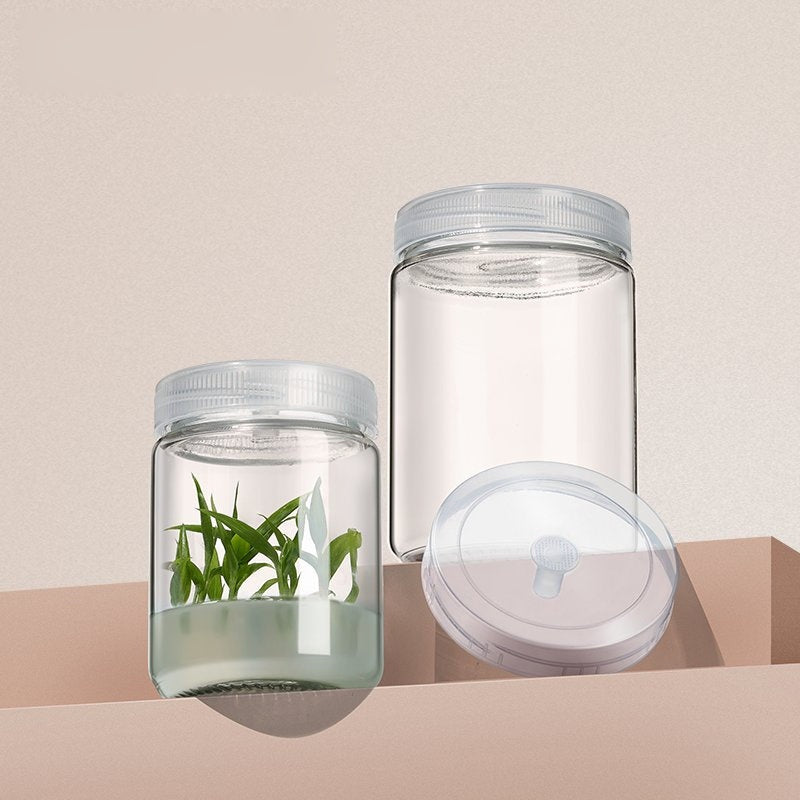Glass Tissue Culture Bottles/Plant Glass Jar with Plastic Breathable Lid/Sealing Lid, 240-1000ml