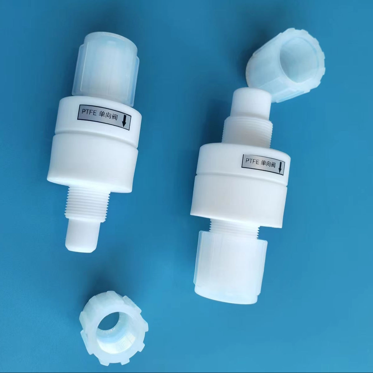 PTFE Check Valve, 1/2 in NPT