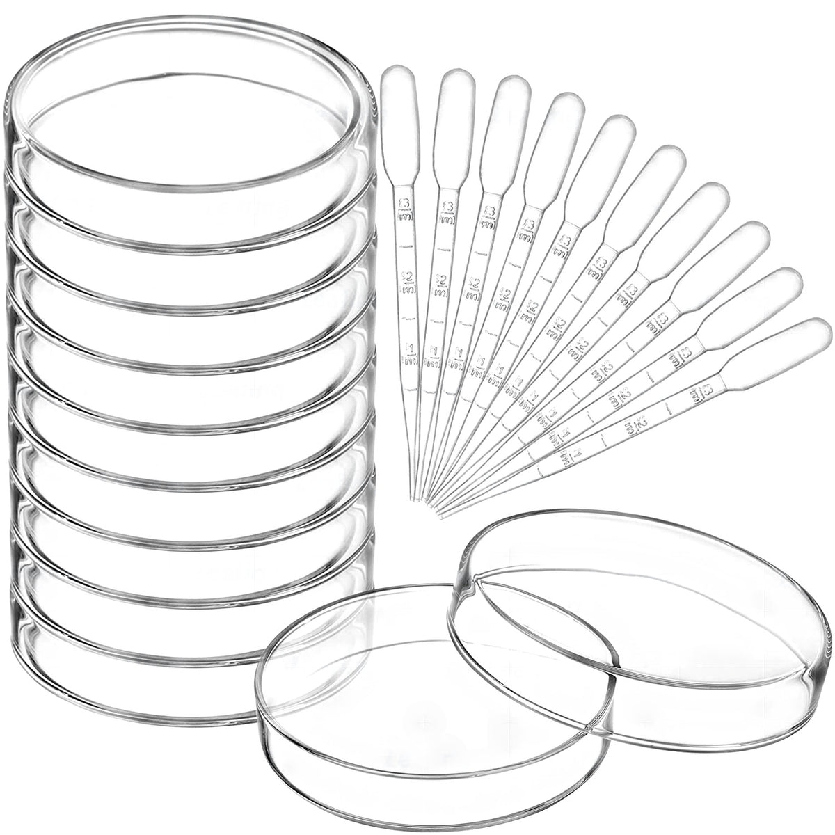 Glass Petri Dishes (35 / 60 / 100 / 150 mm)