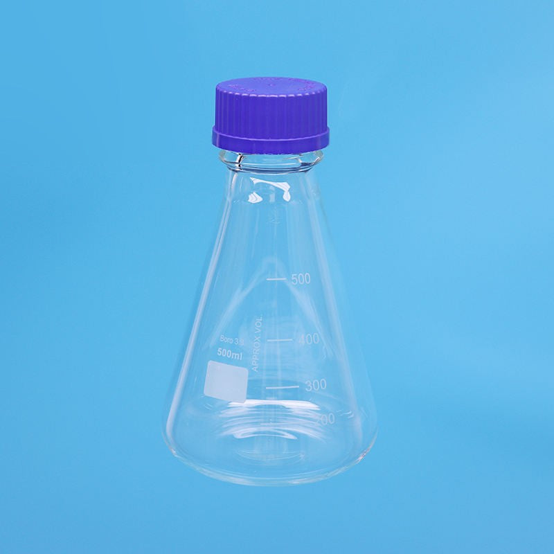 Erlenmeyer flask with blue screw cap