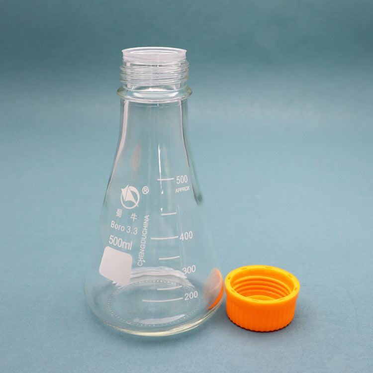Glass conical flask with orange screw caps for tissue culture