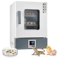 5.3 Gal / 20 L Microbiological Lab Incubator, for Petri Dishes, Constant Temp.