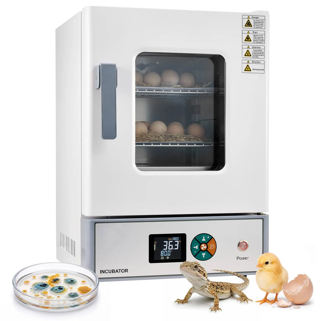 Lab Incubator 5.3 Gal / 20 L with Adjustable Air Circulation, For Petri Dishes