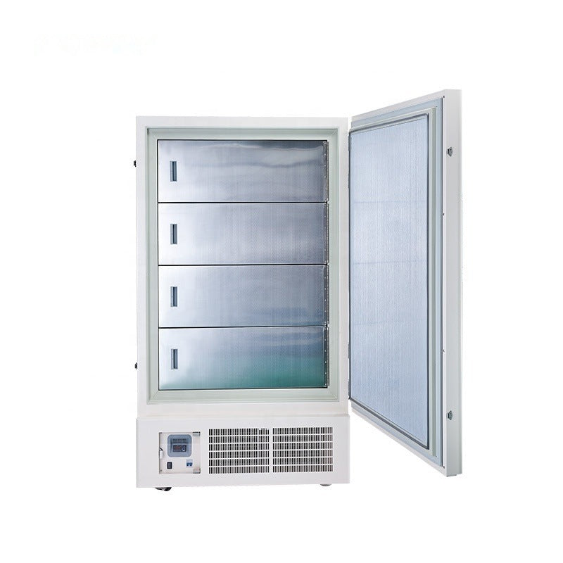 Low-Temperature Freezer (-60°C Large Capacity)