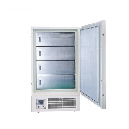 Low-Temperature Freezer (-60°C Large Capacity)