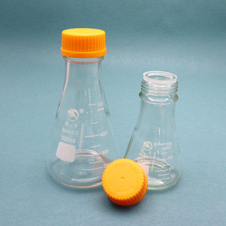 Glass conical flask with orange screw caps for tissue culture