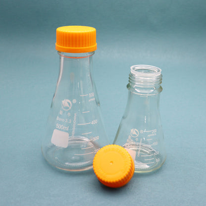 Glass conical flask with orange screw caps for tissue culture