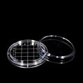 Contact dish, plastic PS, diameter 55 mm, 10 units/pack