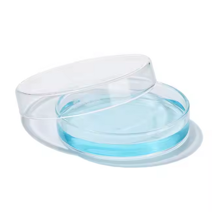 Autoclavable Borosilicate Glass Petri Dishes for Cell Culture Clear Glass Culture Dish Available in 