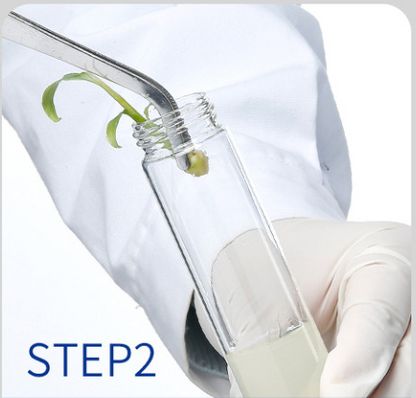 Autoclavable/vented Glass Tissue Culture Tubes, 43-275ml Available