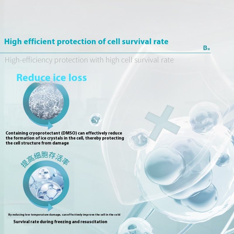 Biological Cell Cryopreservation Solution Serum-free Serum-containing Tissue Preservation Laboratory