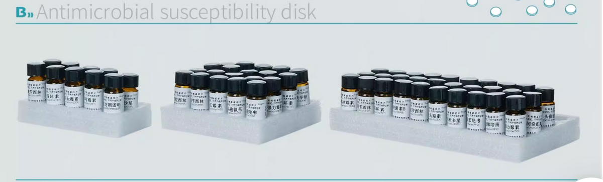 Antimicrobial Sensitivity Testing Discs/antibiotic Blank test Discs for Bacterial and Fungal Microbi