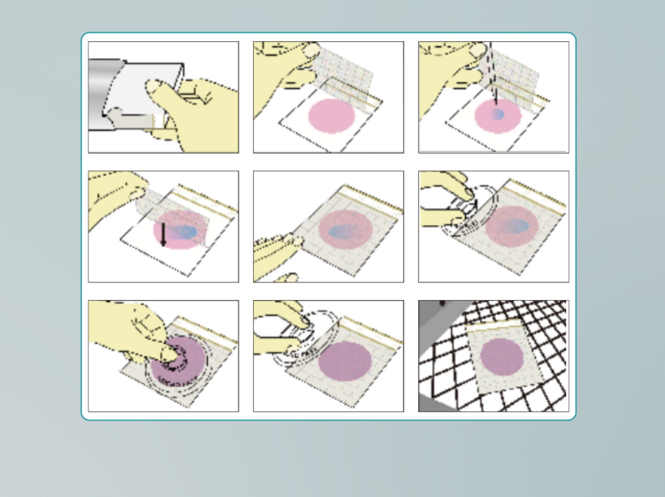 Lab Grade Bacteria Detection Strip: Aerobic/coliforms/mold Yeast/enterobactericeae/lactic Acid Bacte