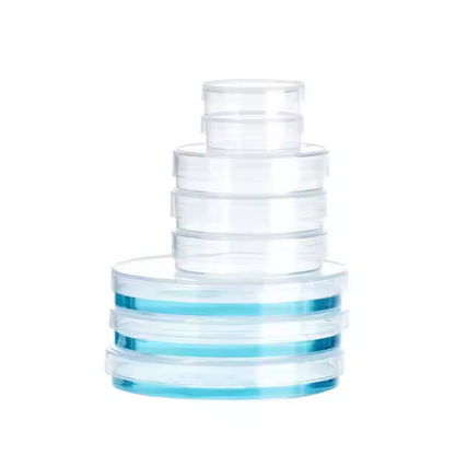 Disposable Sterilized Plastic Petri Dishes 60mm 70mm 100mm 120mm 150mm For Laboratories