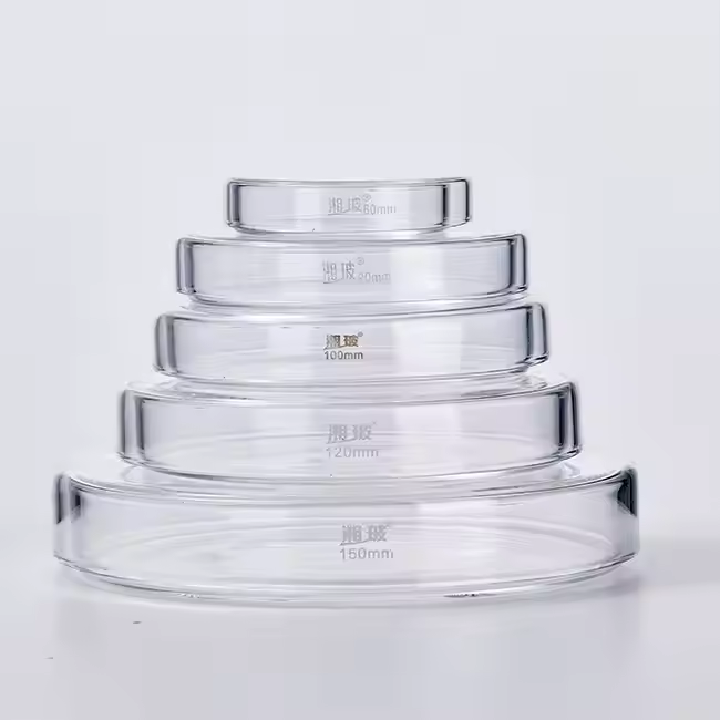 Autoclavable Borosilicate Glass Petri Dishes for Cell Culture Clear Glass Culture Dish Available in 