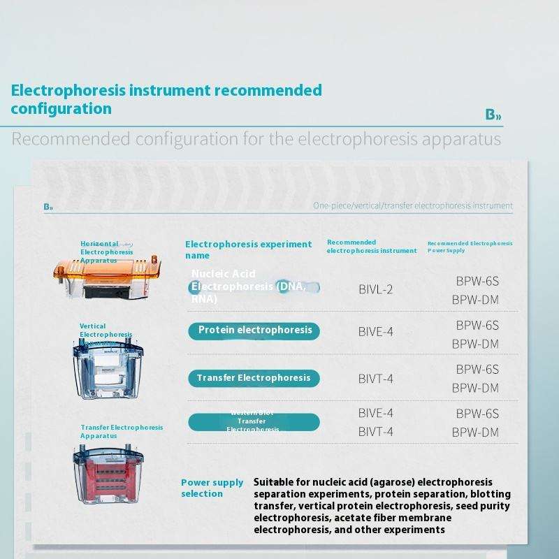 OEM Customizable Plastic WB Blue Power Horizontal Vertical Electrophoresis Gel Tank for Nucleic Acid