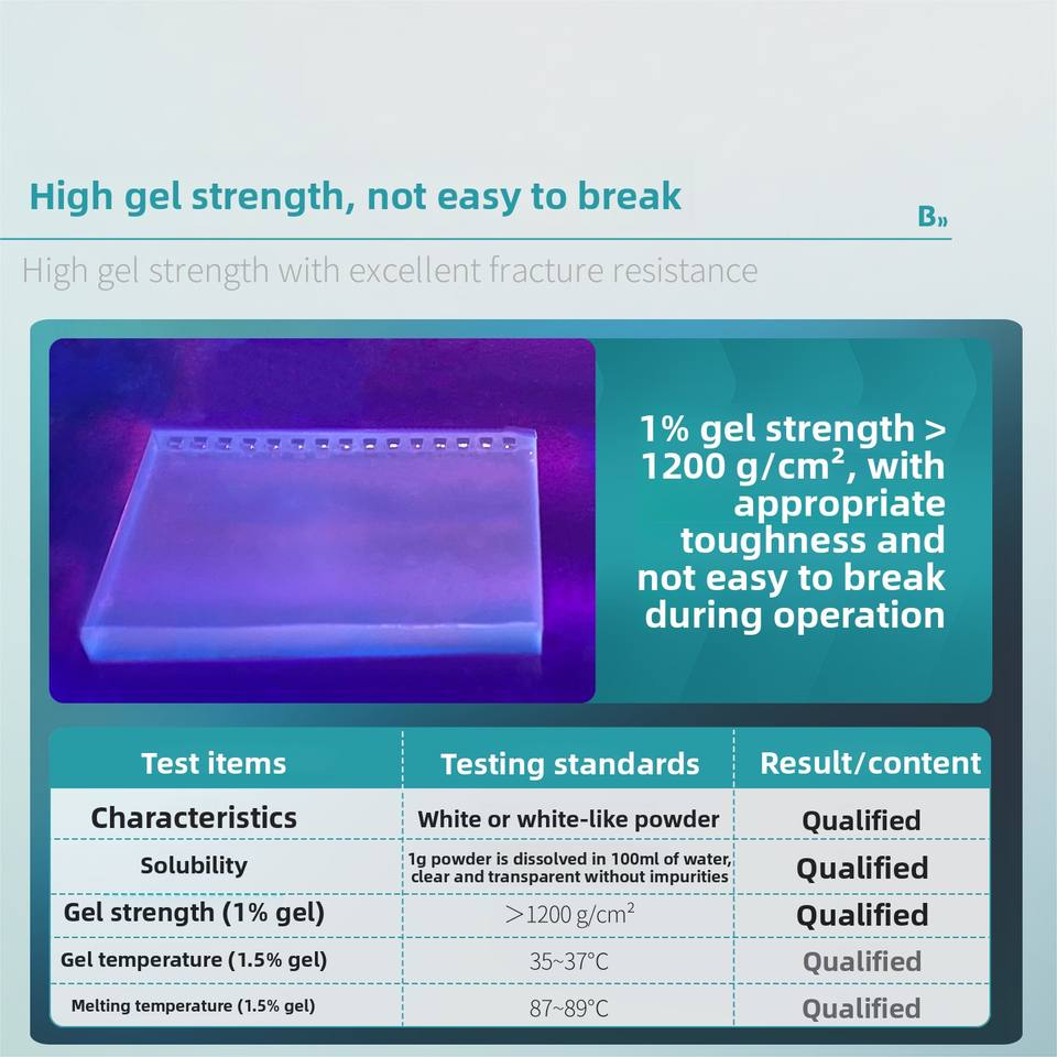 Bioagarose Gel Electrophoresis Nucleic Acid Dna Electrophoresis Reagent Biochemical Laboratory Suppl