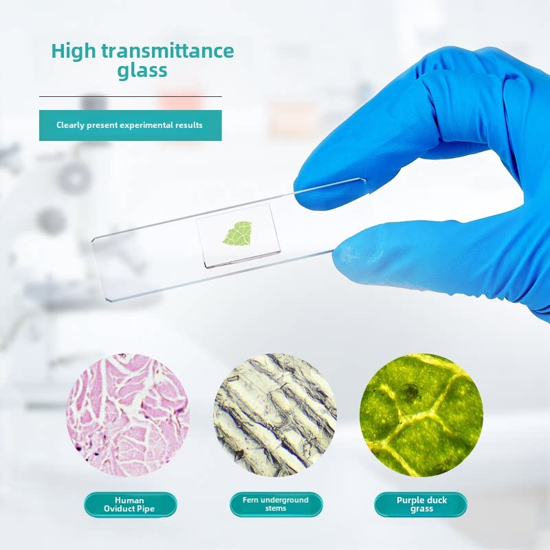 Cover Glass Slide Pathological Grade Adhesive Ultra-clear High-definition Specimen Staining Single/d