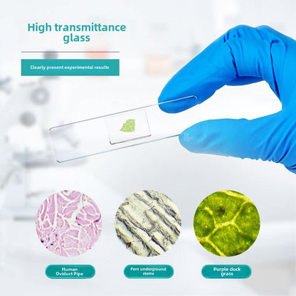 Cover Glass Slide Pathological Grade Adhesive Ultra-clear High-definition Specimen Staining Single/d