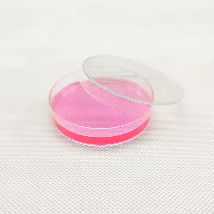 Disposable Sterilized Plastic Petri Dishes 60mm 70mm 100mm 120mm 150mm For Laboratories