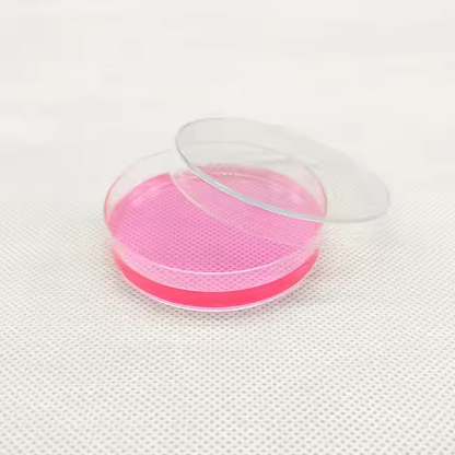 Disposable Sterilized Plastic Petri Dishes 60mm 70mm 100mm 120mm 150mm For Laboratories