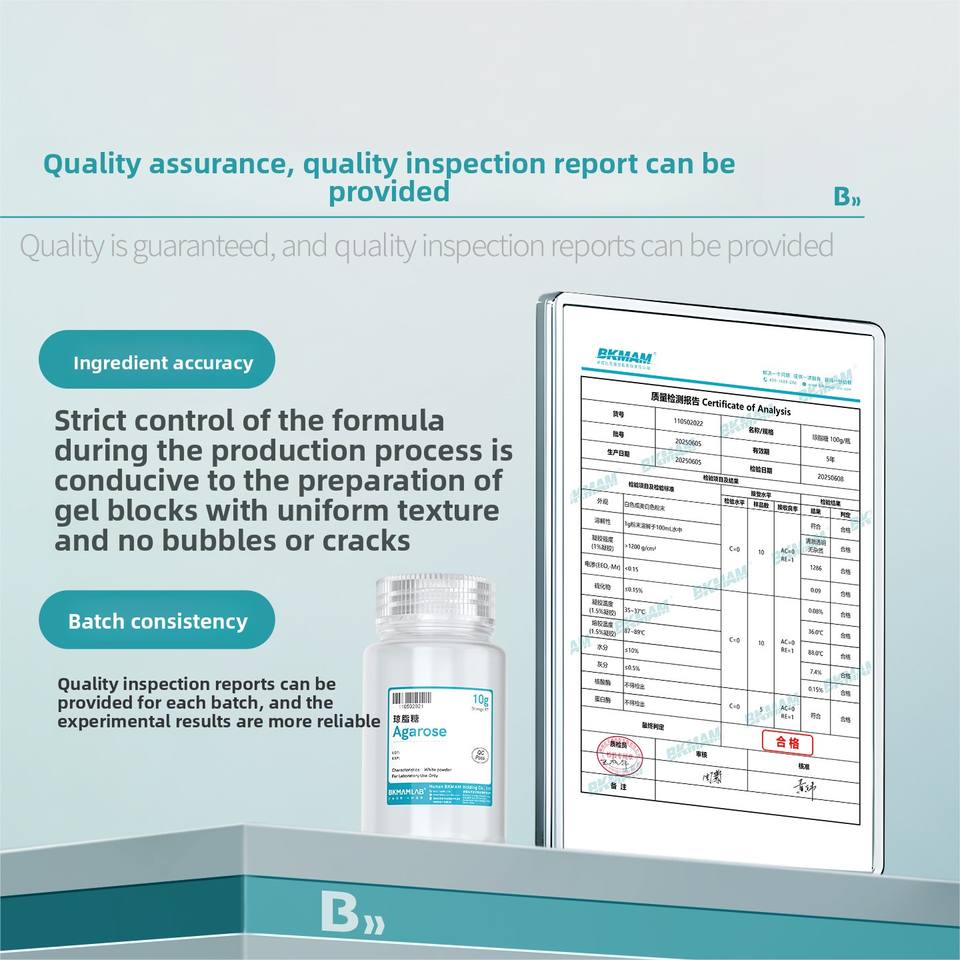 Bioagarose Gel Electrophoresis Nucleic Acid Dna Electrophoresis Reagent Biochemical Laboratory Suppl