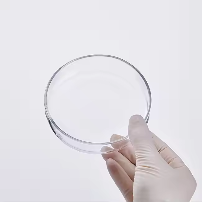 Autoclavable Borosilicate Glass Petri Dishes for Cell Culture Clear Glass Culture Dish Available in 