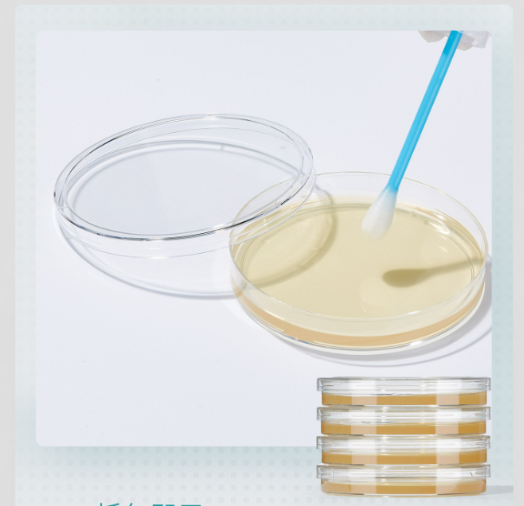 Nutrient Agar Plates for Microbial Culture and Detection