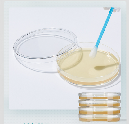 Nutrient Agar Plates for Microbial Culture and Detection