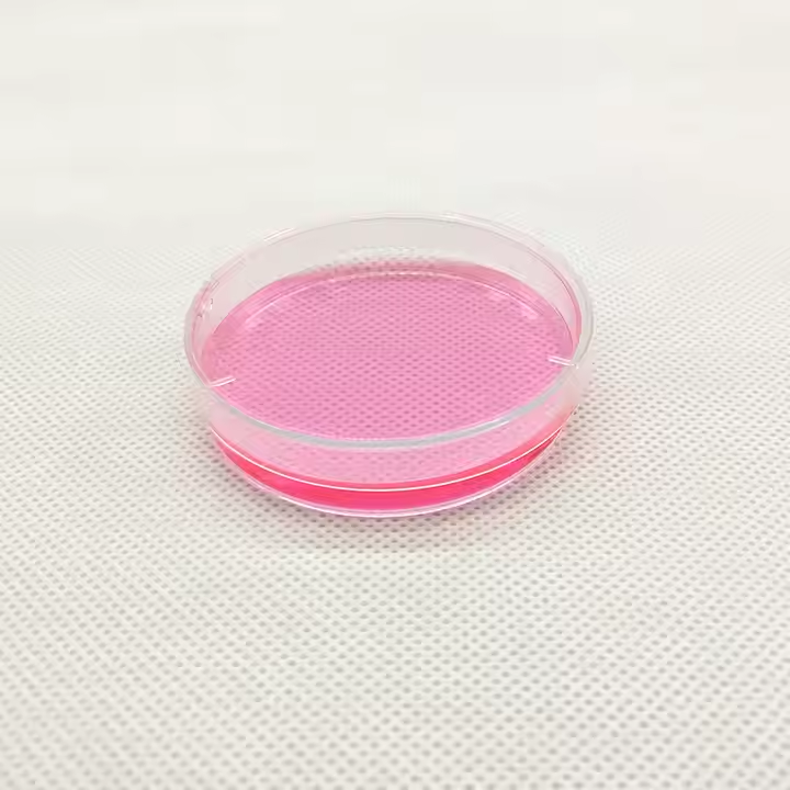 Disposable Sterilized Plastic Petri Dishes 60mm 70mm 100mm 120mm 150mm For Laboratories
