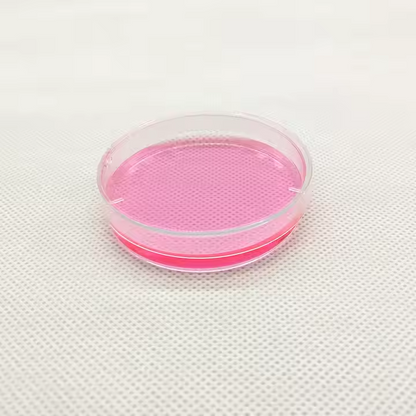 Disposable Sterilized Plastic Petri Dishes 60mm 70mm 100mm 120mm 150mm For Laboratories