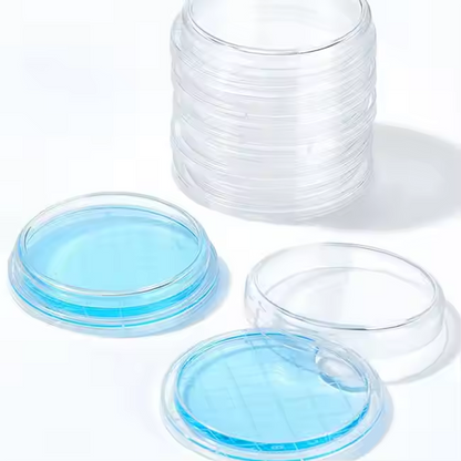 Transparent 55mm Rodac Plate with Lid Lab Consumables for Petri Dishes