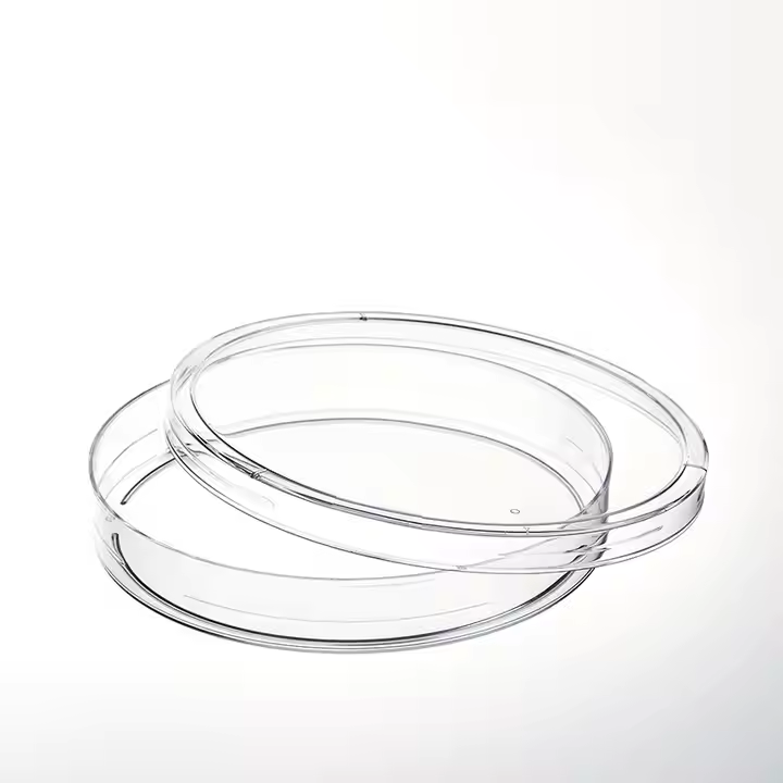 Disposable Sterilized Plastic Petri Dishes 60mm 70mm 100mm 120mm 150mm For Laboratories