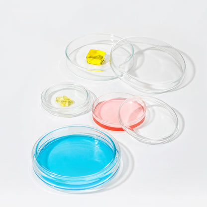 PTFE Petri Dish (A05001)