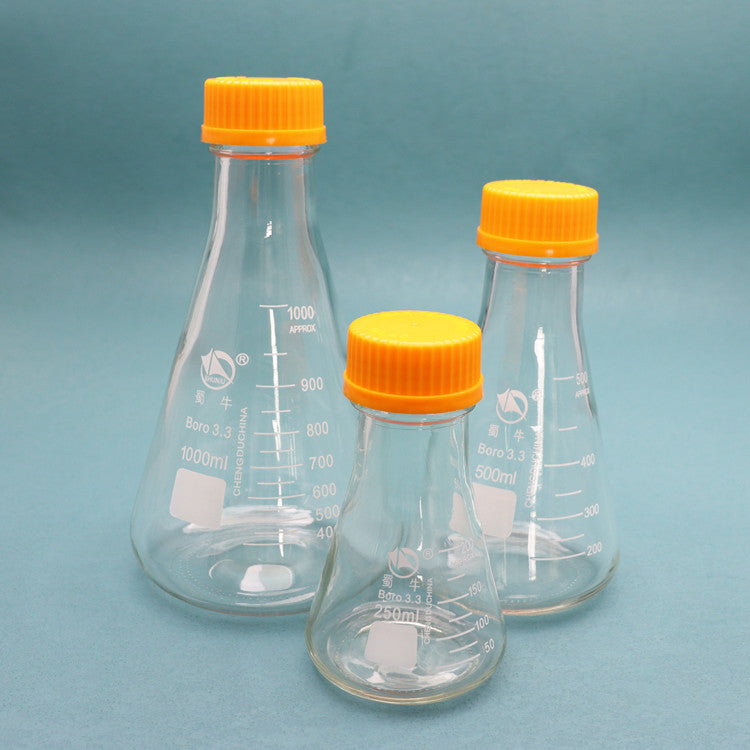 Glass conical flask with orange screw caps for tissue culture