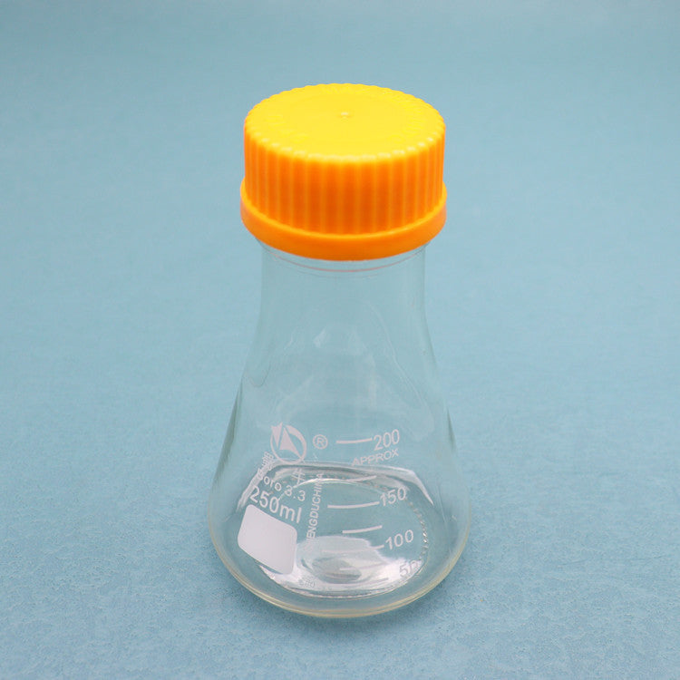 Glass conical flask with orange screw caps for tissue culture