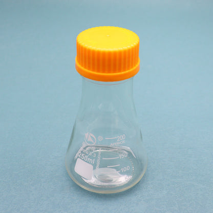 Glass conical flask with orange screw caps for tissue culture