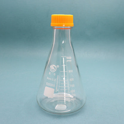Glass conical flask with orange screw caps for tissue culture