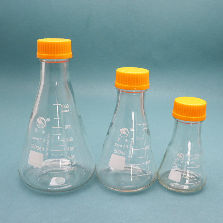 Glass conical flask with orange screw caps for tissue culture