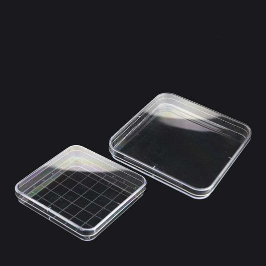 Petri Dish Square, Plastic PS, with Grid, 10 Units/Pack