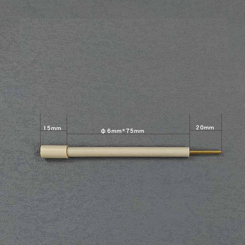 Electrochemical Electrode Holder with Conductive Electrodes
