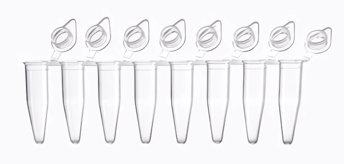 Laboratory 0.1ml 0.2ml Disposable PP PCR 8 Strips Sterilized Tube