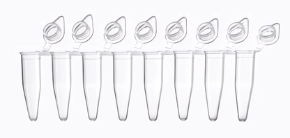 Laboratory 0.1ml 0.2ml Disposable PP PCR 8 Strips Sterilized Tube