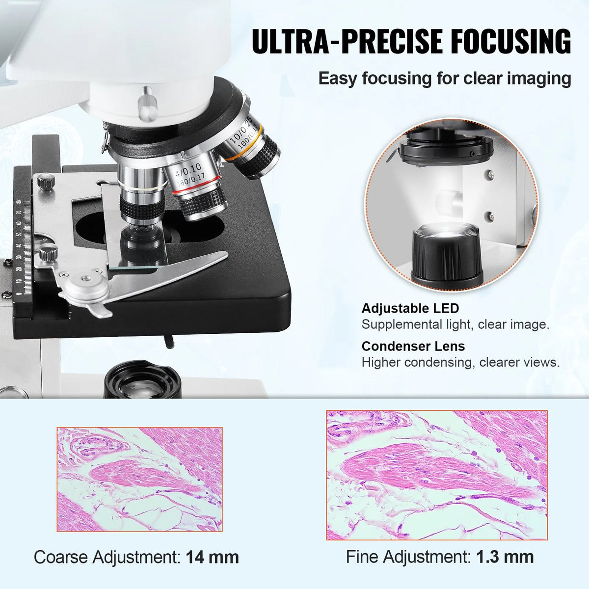 40X-5000X Magnification Trinocular Compound Lab Microscope