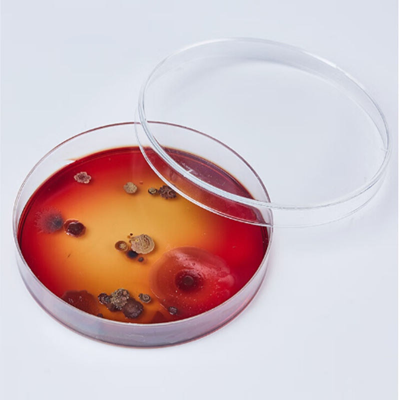 Plastic 90mm Agar Plate Favourite Price Aseptic Lab Agar Plates