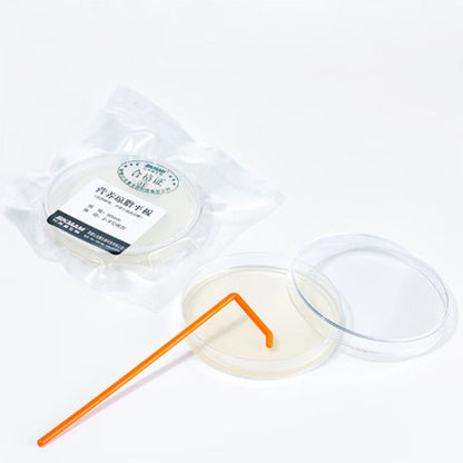 Plastic 90mm Agar Plate Favourite Price Aseptic Lab Agar Plates