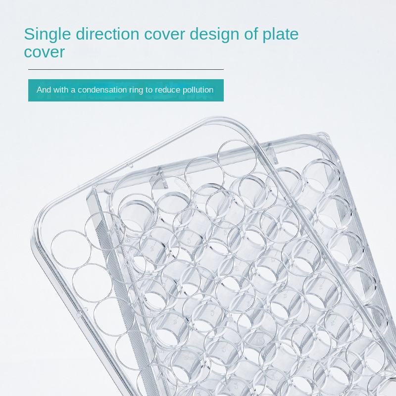 Cell Culture Plate in Plastic Supported 6-well 12-well 24-well 48-well 96-well TC Surface Flat