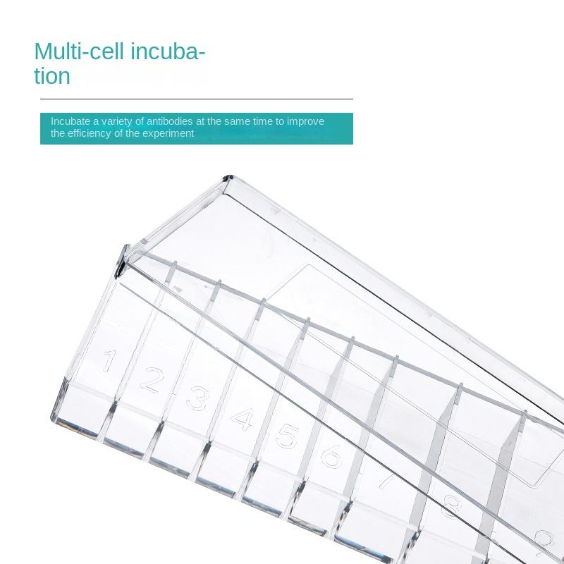 Plastic Antibody Incubation Box for Western Blot Immunohistochemistry Wet Lab WB for Antibody