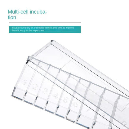 Plastic Antibody Incubation Box for Western Blot Immunohistochemistry Wet Lab WB for Antibody