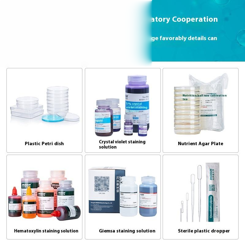 Gram Stain Kit Laboratory Use Glassware Iodine Decolorizing Solution Safranin Biological Bacteria